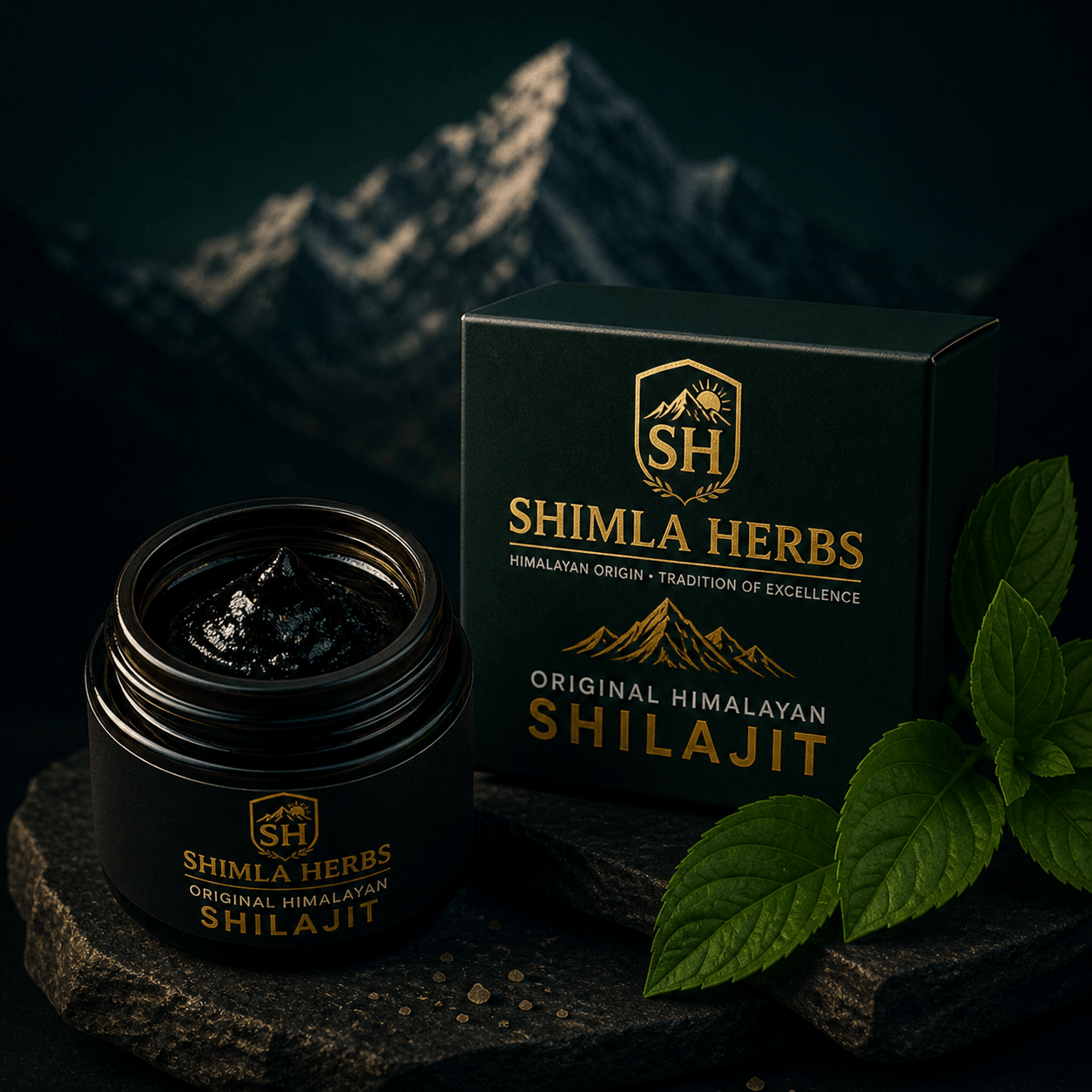 Shilajit Detail 2
